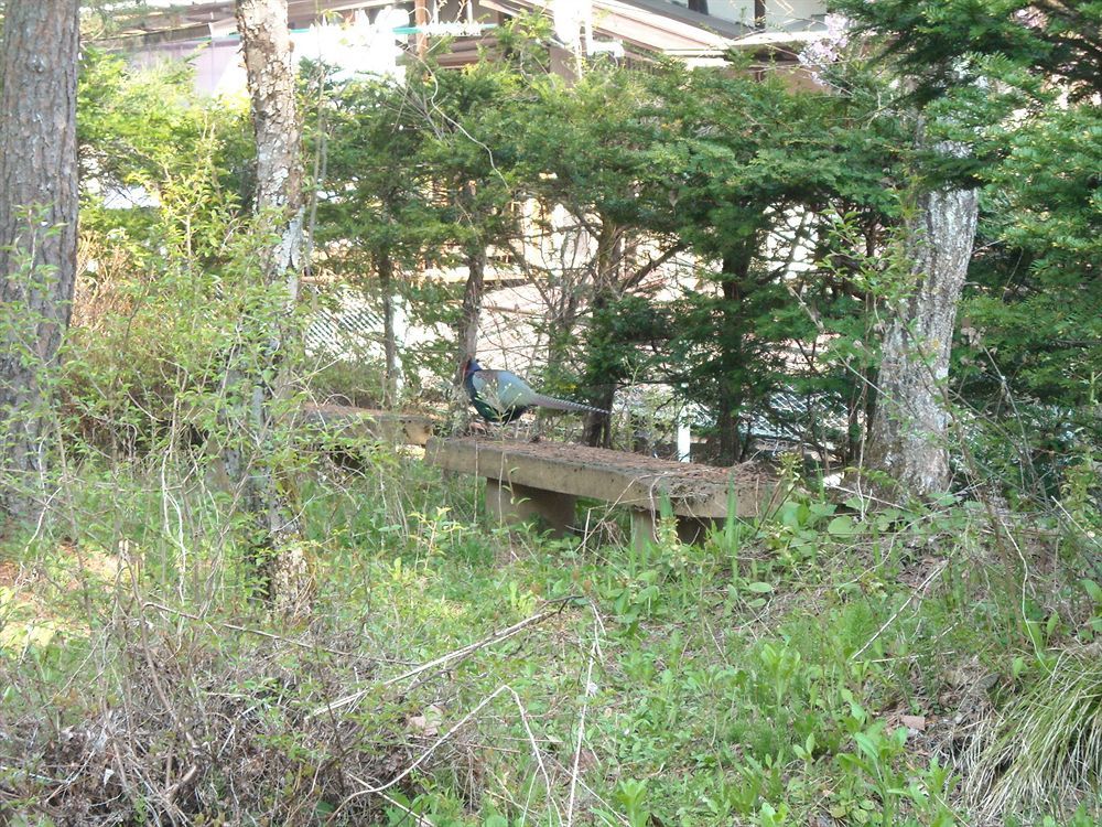 Hida Gasshoen Takayama  Extérieur photo